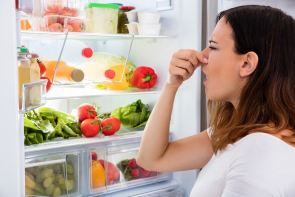 Which Food Should Be Stored Above the Others in a Refrigerator - featured image