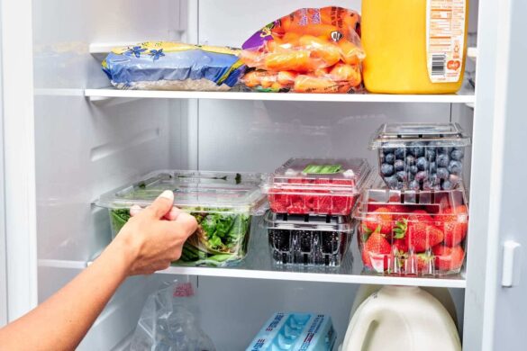 Food Preservation does all of the Following Except - featured image