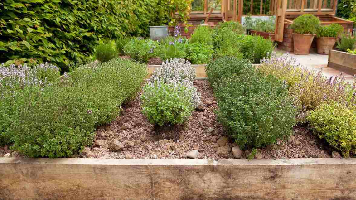 Herb Garden Edge