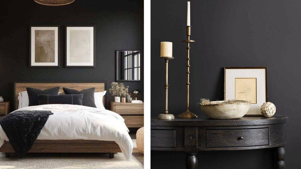 SW Tricorn black vs caviar