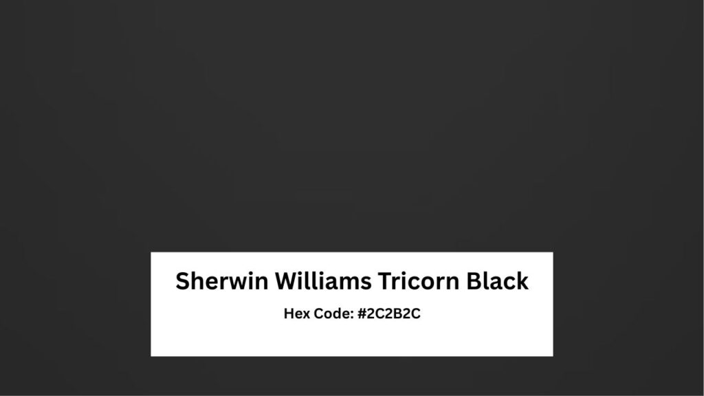 Sherwin Williams Tricorn Black