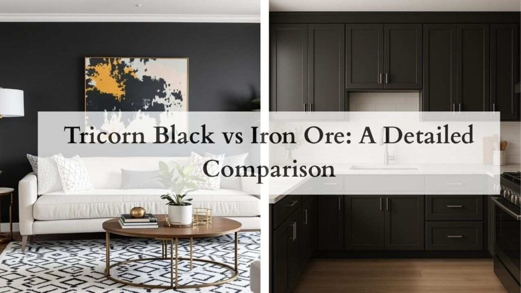 Tricorn Black vs Iron Ore