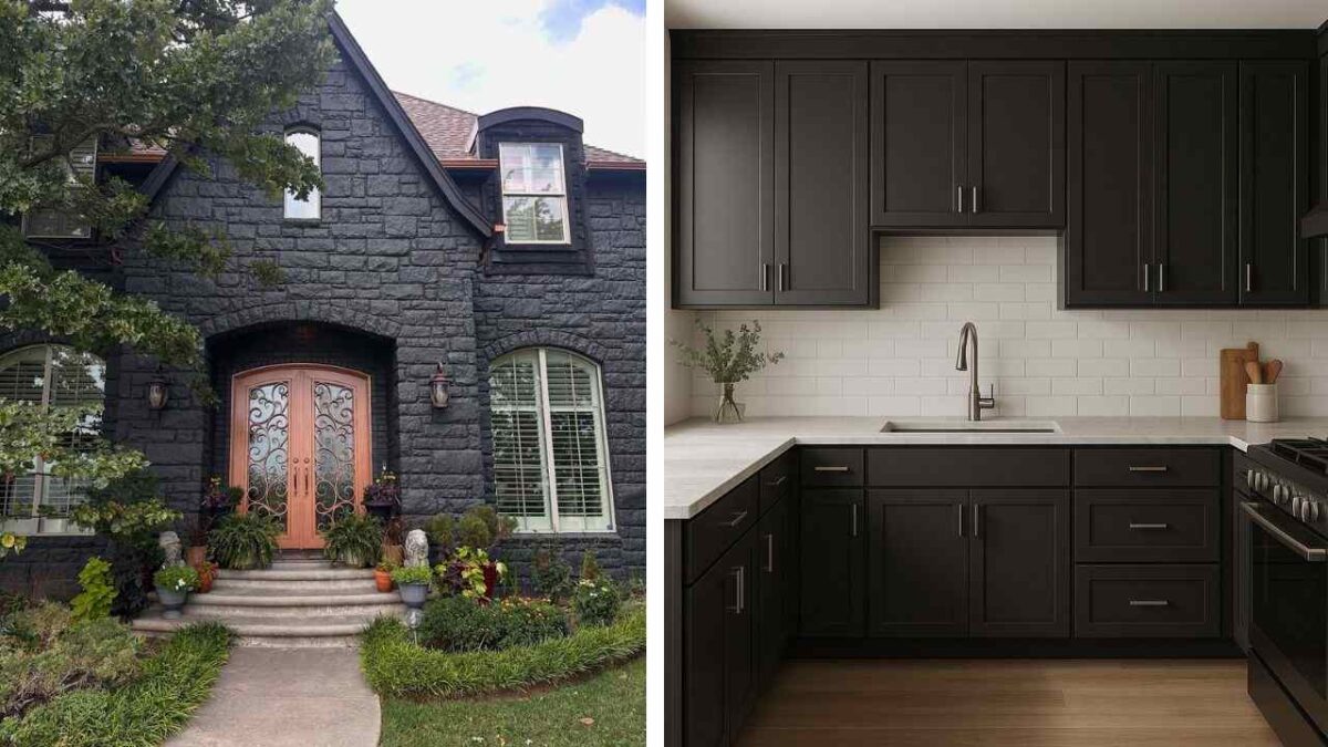 Understanding Tricorn Black vs Iron Ore: A Complete Comparison Guide to Color Selection