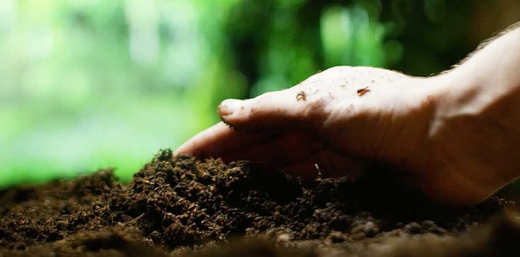 Aging Brass by Burying It in Soil