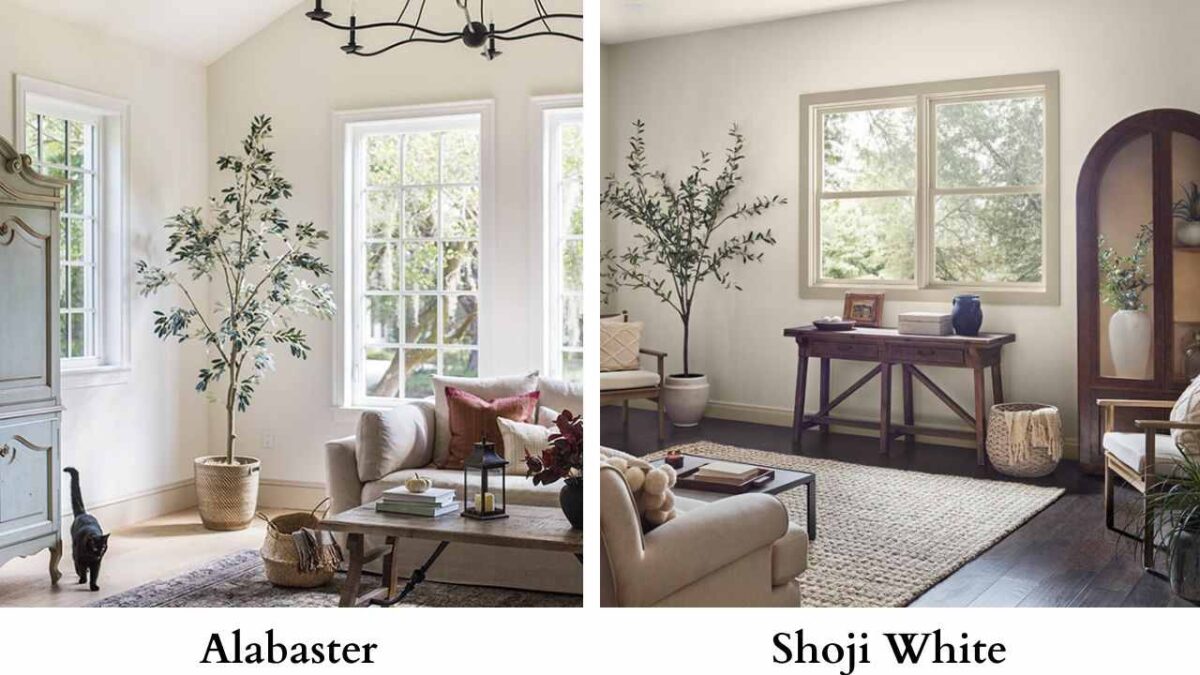 Alabaster vs Shoji White: Which Sherwin Williams White Works Best in Your Space?
