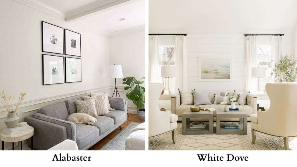 Alabaster vs White Dove