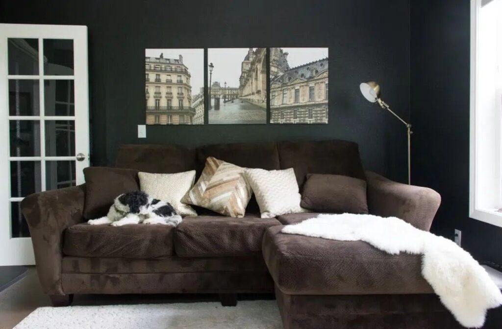 An Image of Benjamin Moore Onyx Living Room