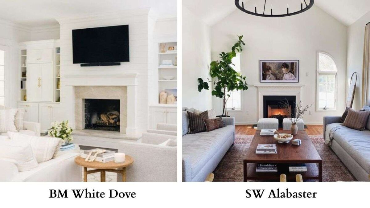 BM White Dove Vs SW Alabaster: Side-by-Side Comparison of Two Popular White Paints