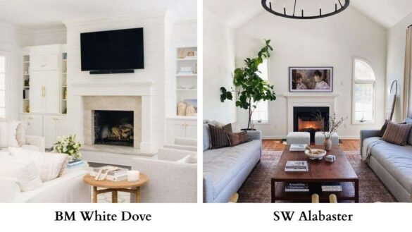 BM White Dove Vs SW Alabaster Featured Image