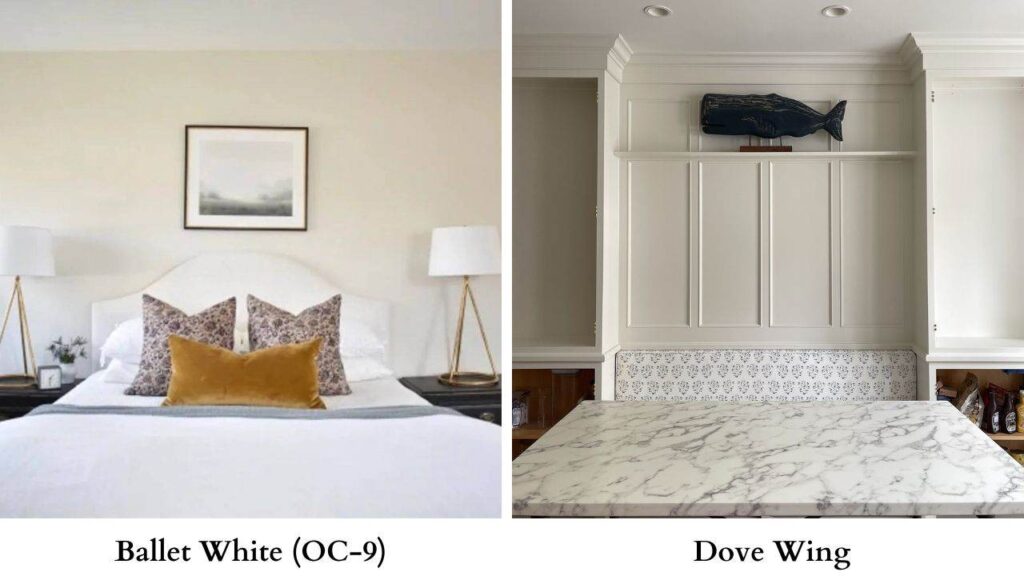 Ballet White Vs Dove Wing