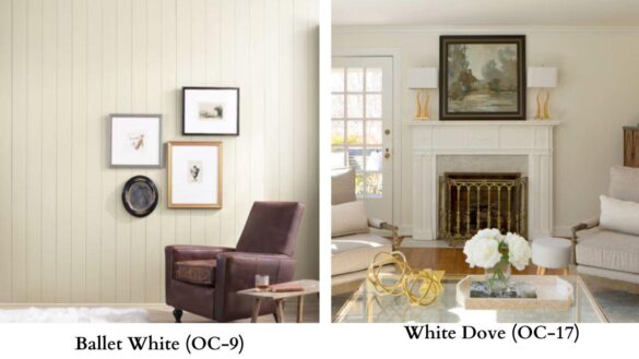 Ballet White Vs White Dove Featured Image