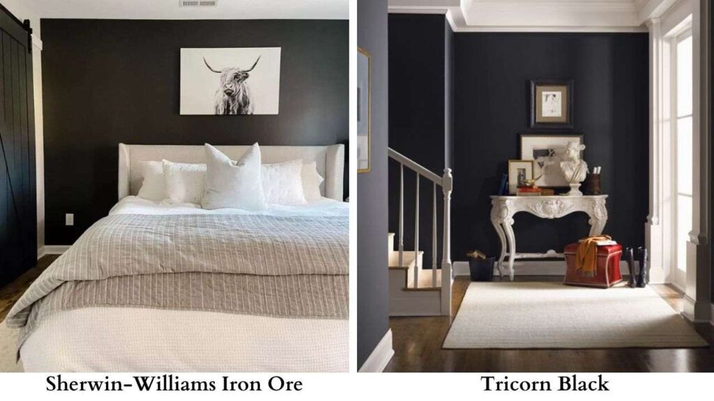 Benjamin Moore Iron Ore Vs Tricorn Black