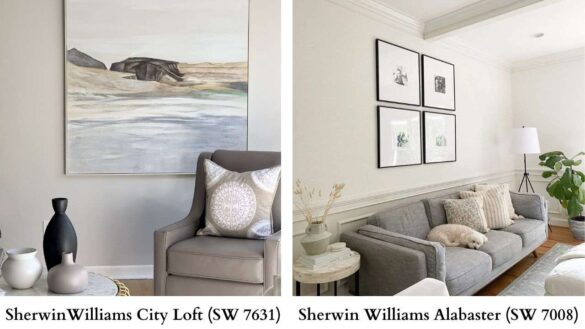 City Loft Vs Alabaster Featured Image