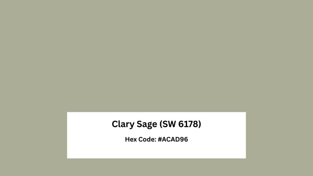 Clary Sage (SW 6178)