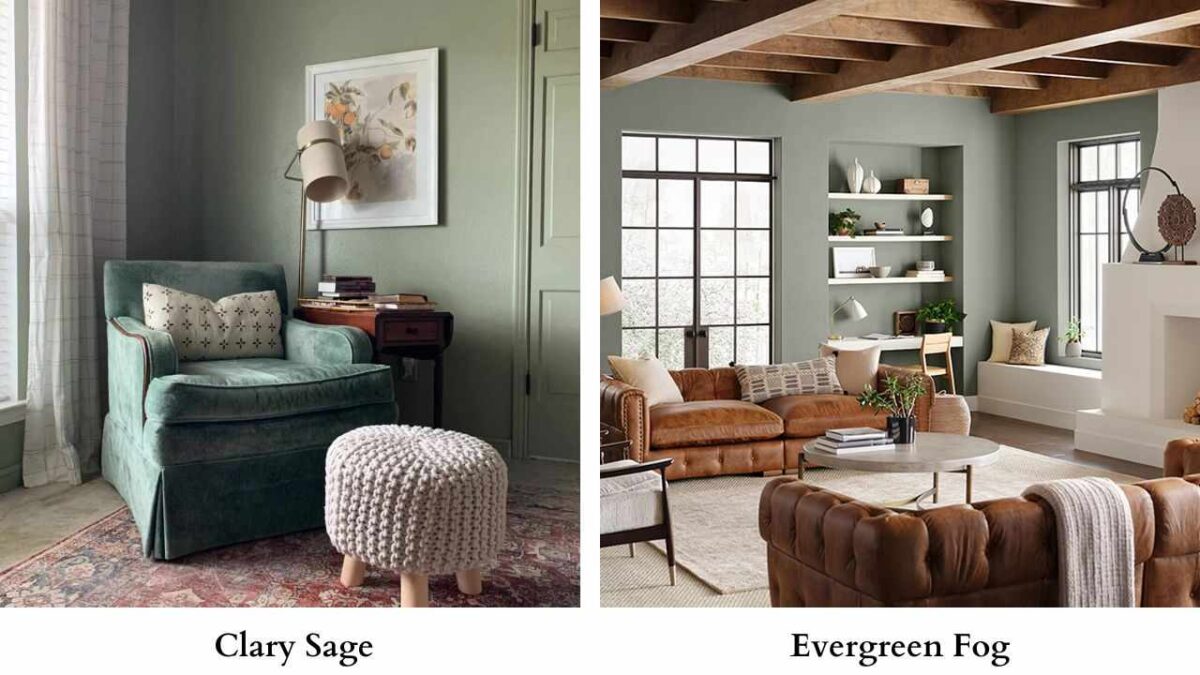 Clary Sage Vs Evergreen Fog: Comparing Warm vs Cool Sage Greens