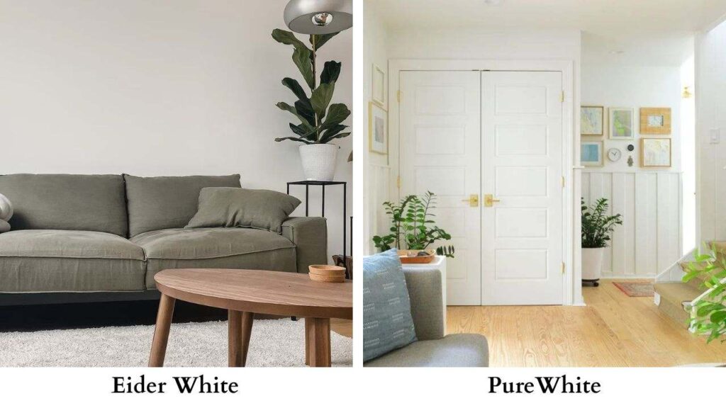 Eider White Vs Pure White