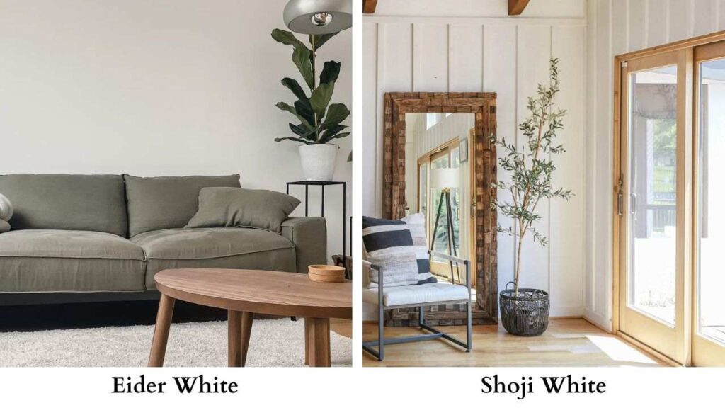 Eider White Vs Snowbound