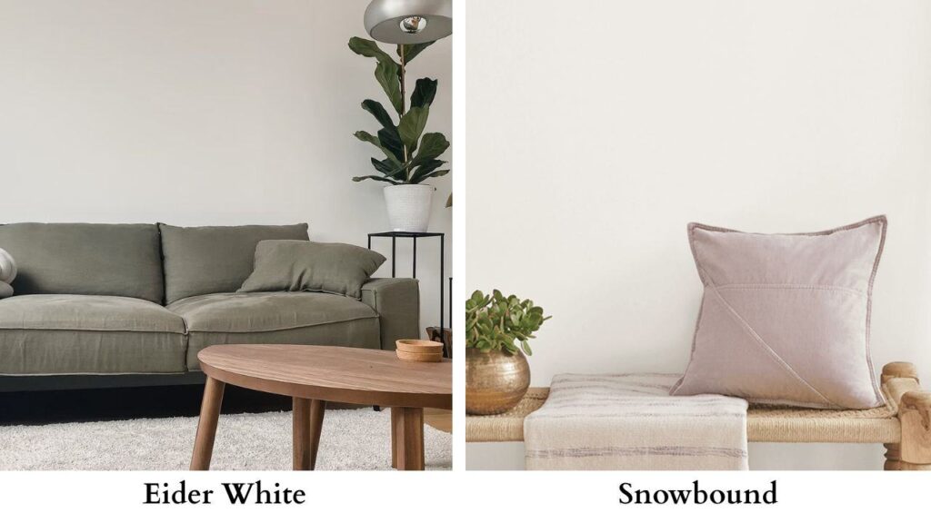 Eider White Vs Snowbound