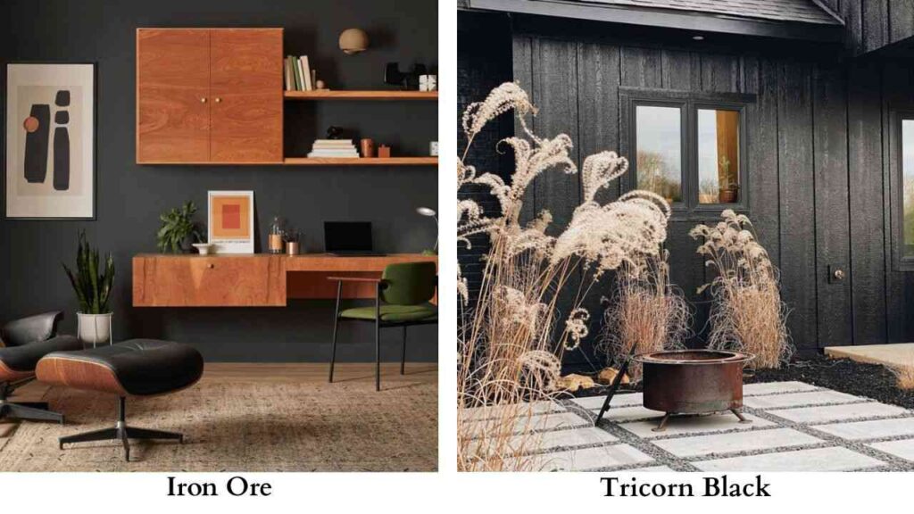 Iron Ore vs Tricorn Black