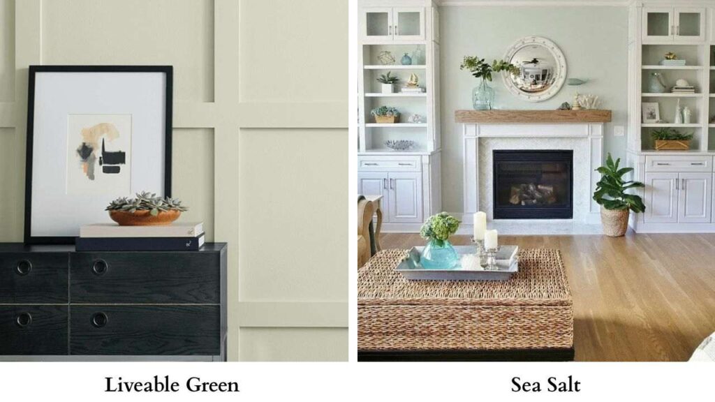 Liveable Green Vs Sea Salt