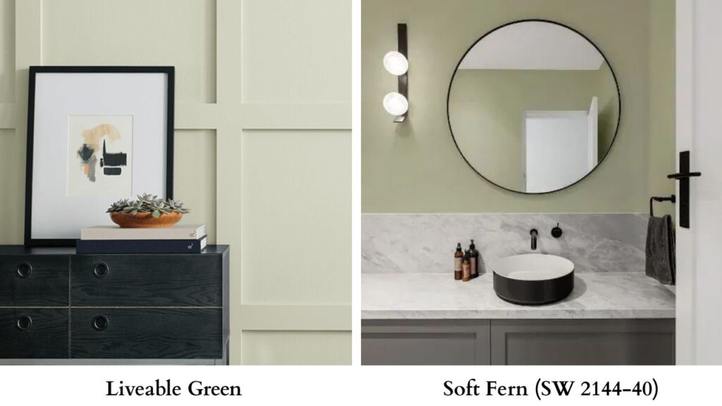 Liveable Green Vs Soft Fern (SW 2144-40)