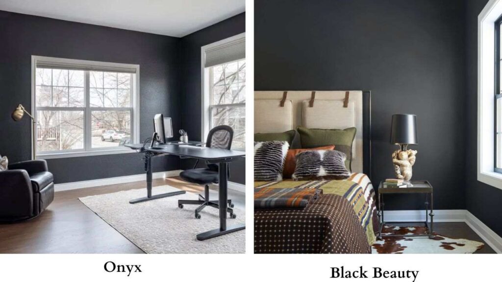Onyx Color Vs Black Beauty
