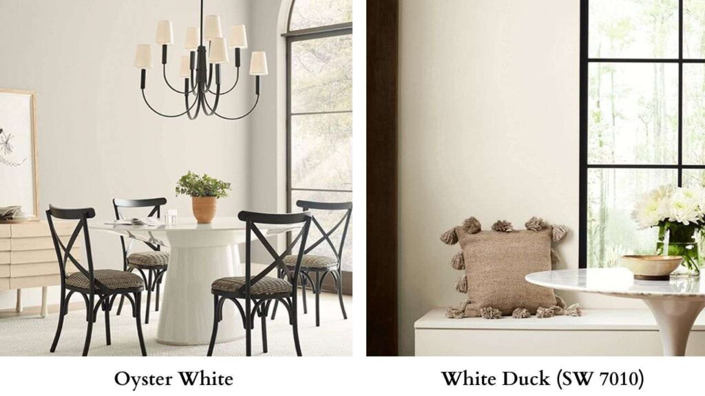 Oyster White Vs White Duck (SW 7010)