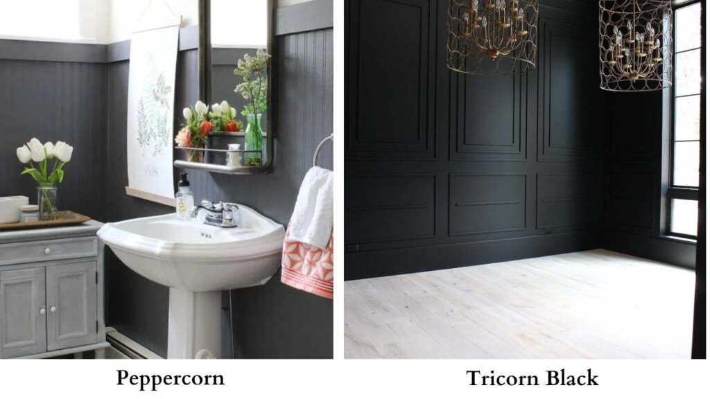 Peppercorn vs Tricorn Black