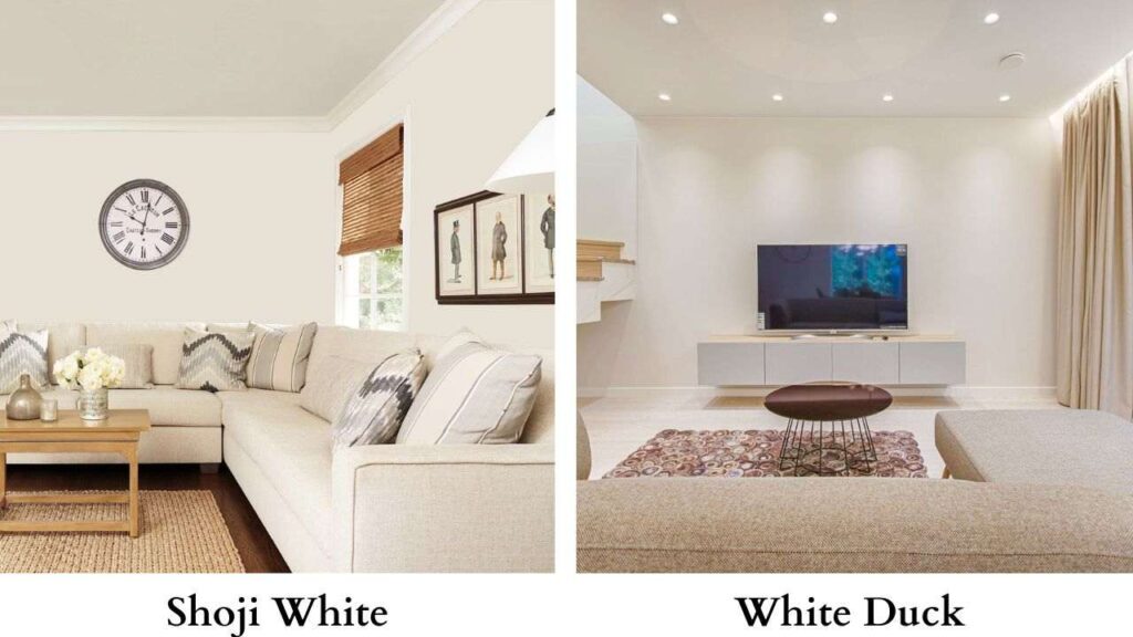 Shoji White vs White duck