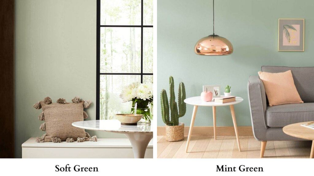 Soft Green Vs Mint Green