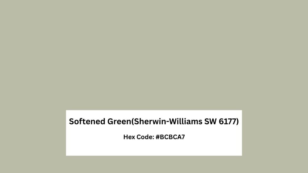 Softened Green (Sherwin-Williams SW 6177)