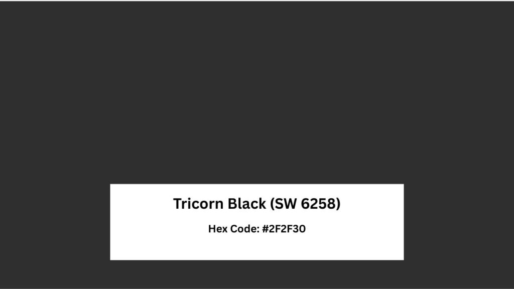 Tricorn Black (SW 6258)