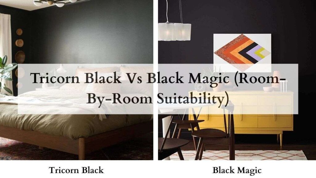 Tricorn Black Vs Black Magic (Room-By-Room Suitability)