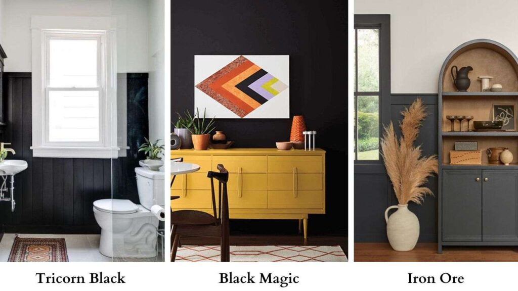 Tricorn Black Vs Black Magic vs Iron Ore