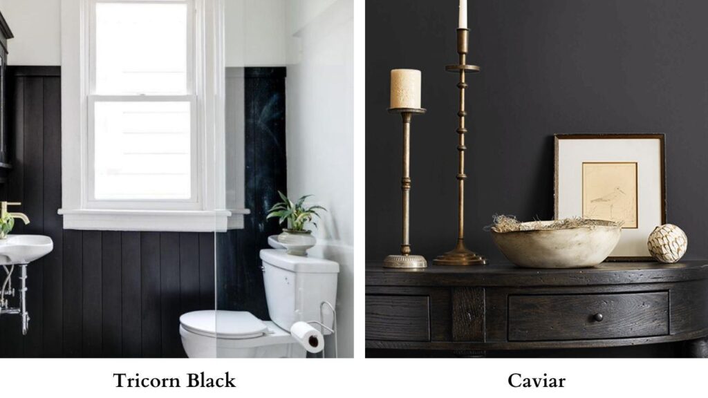 Tricorn Black Vs Caviar