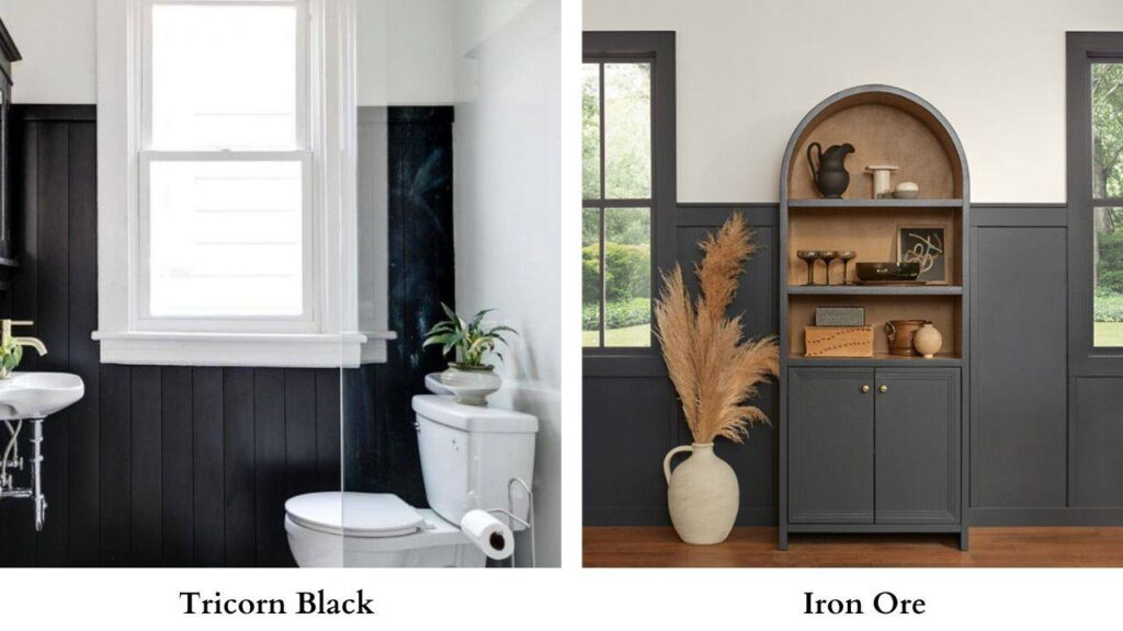 Tricorn Black Vs Iron Ore