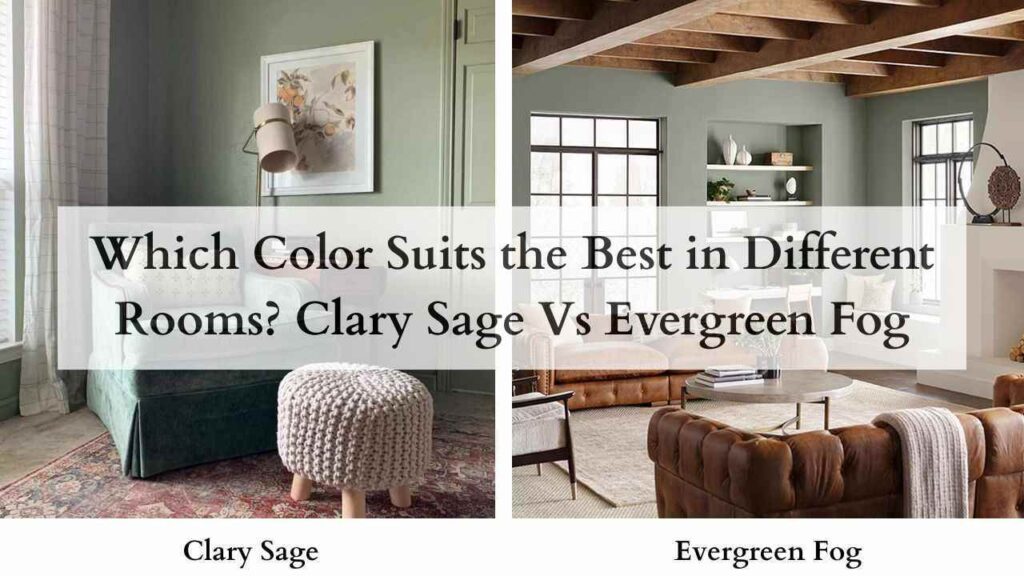 Which Color Suits the Best in Different Rooms Clary Sage Vs Evergreen Fog