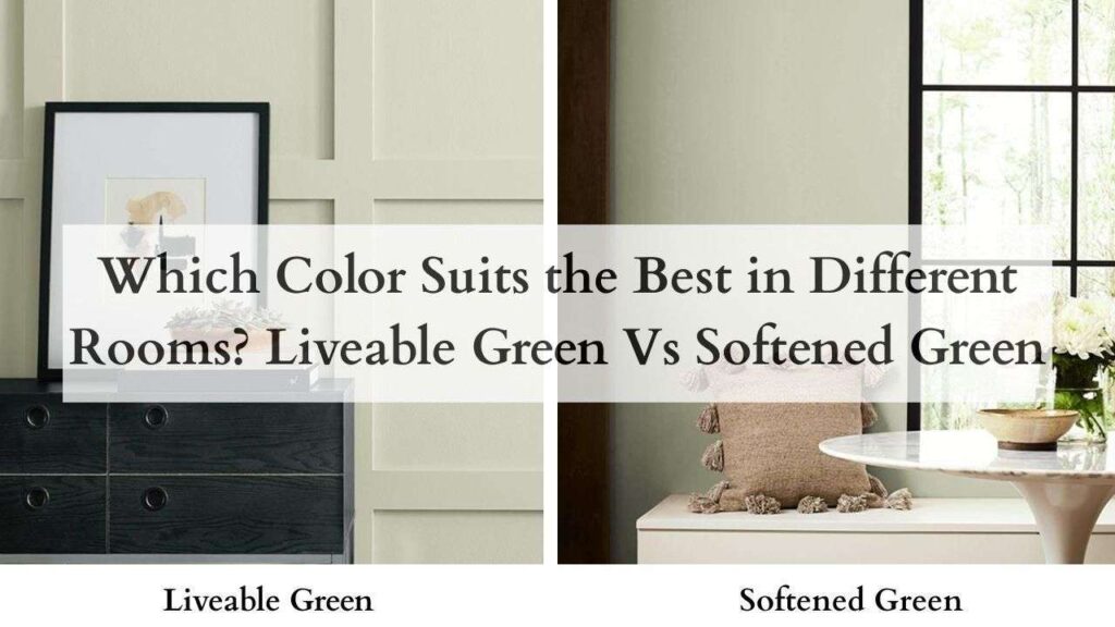 Which Color Suits the Best in Different Rooms Liveable Green Vs Softened Green