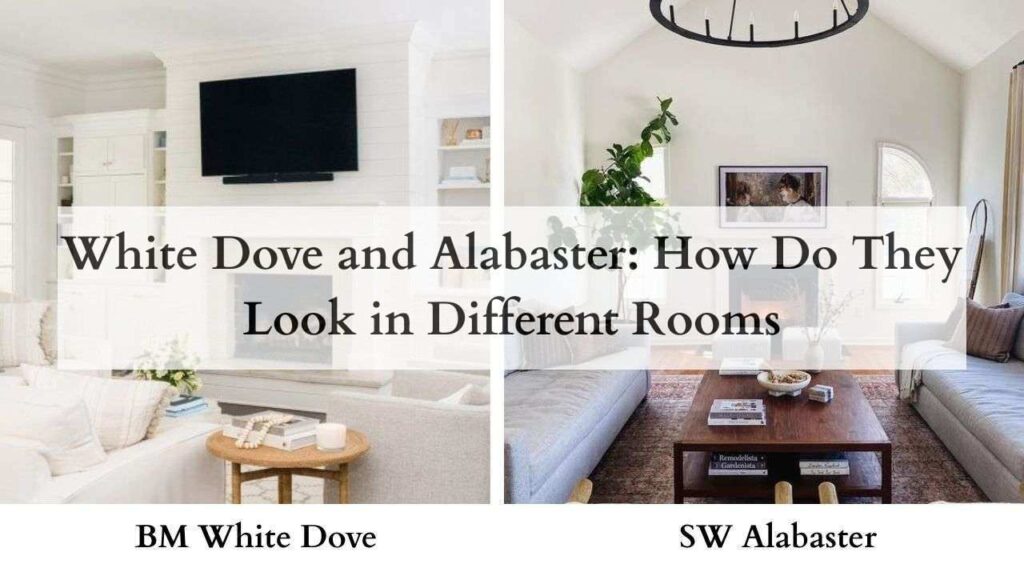 White Dove and Alabaster How Do They Look in Different Rooms