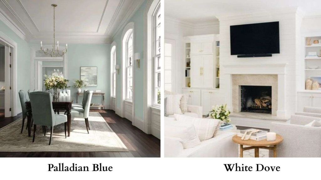 Woodlawn Blue Vs White Dove