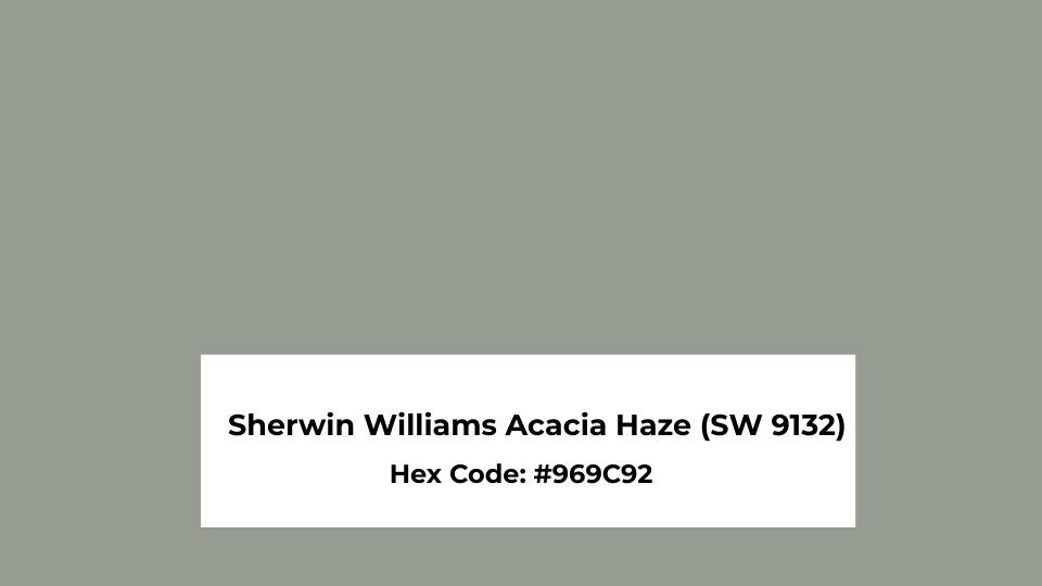 Overview of Sherwin Williams Acacia Haze (SW 9132)