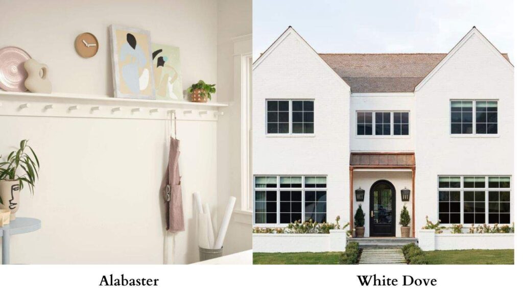 Alabaster vs White Dove