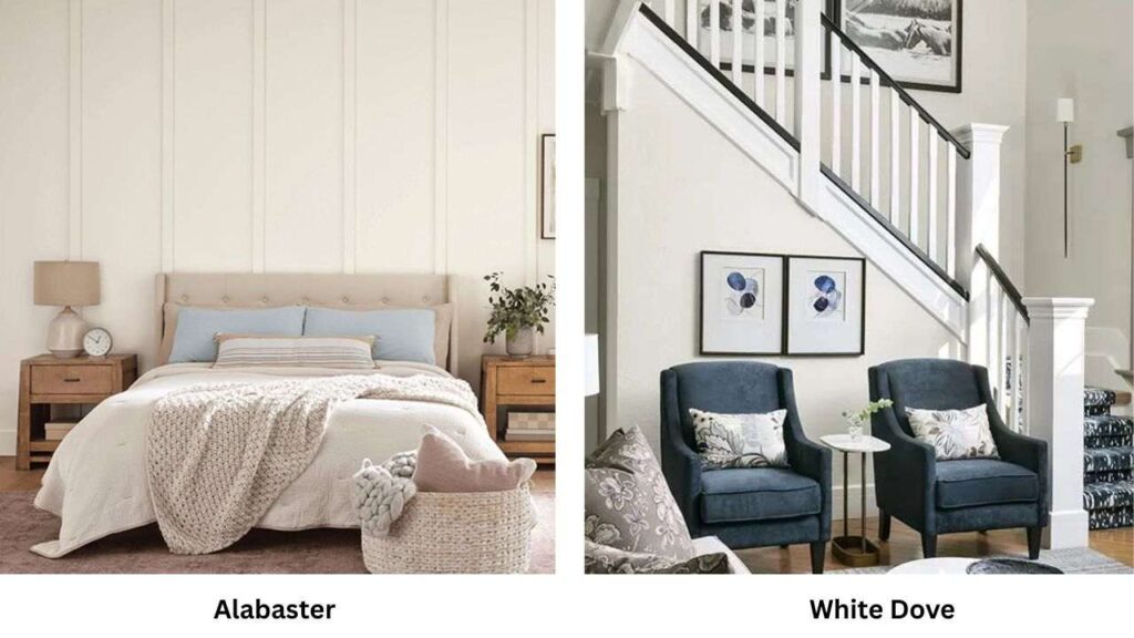 Alabaster vs White Dove