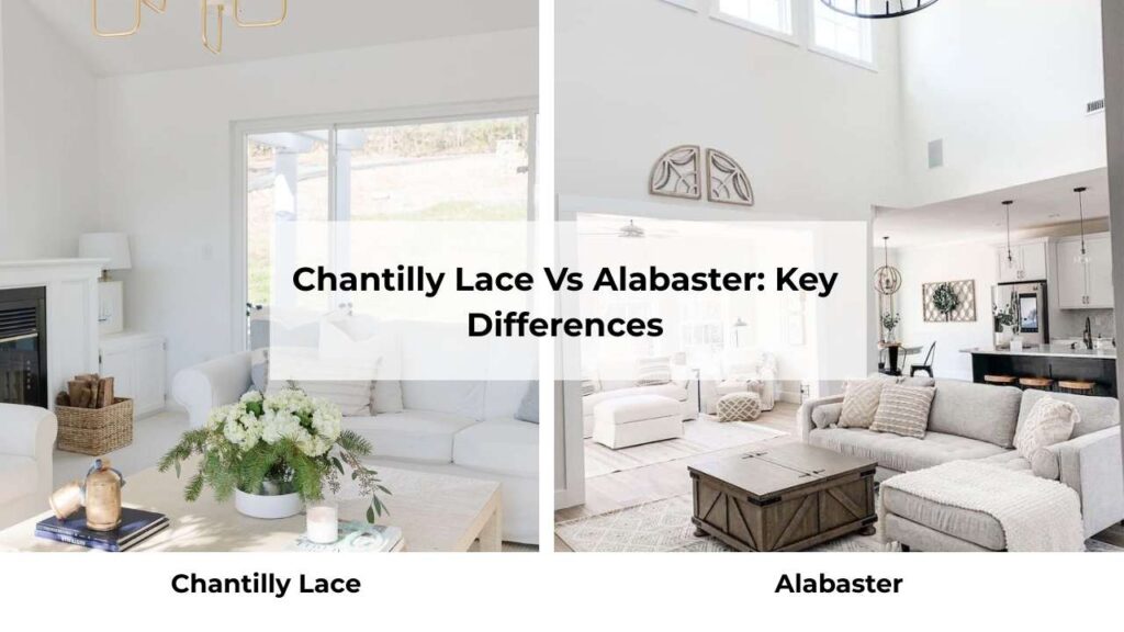 Chantilly Lace Vs Alabaster: Key Differences