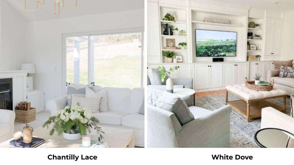 Chantilly Lace Vs White Dove