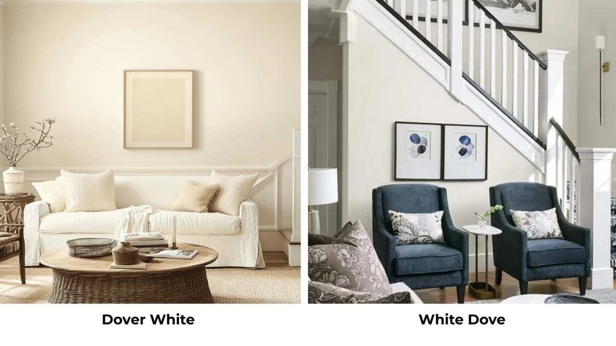 Dover White Vs White Dove: The Subtle Difference That Changes Everything