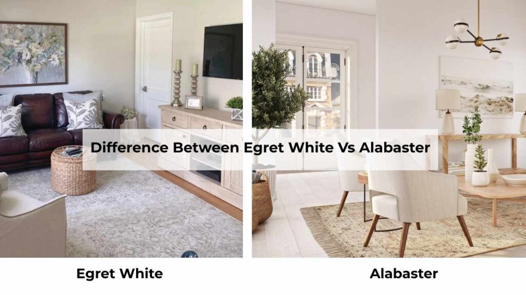 Difference Between Egret White Vs Alabaster