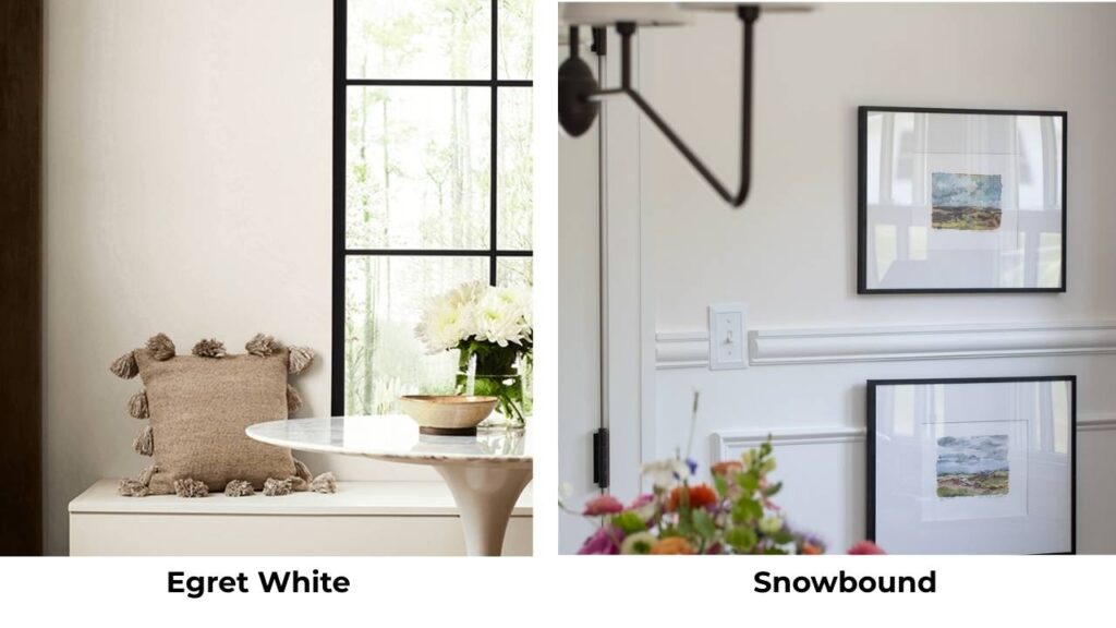 Egret White Vs Snowbound