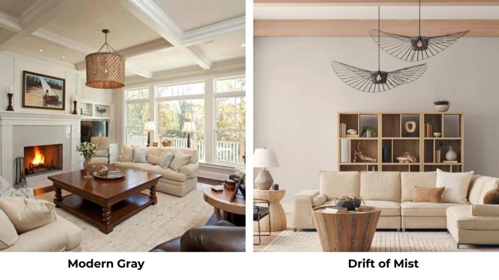 Modern Gray Vs Drift of Mist