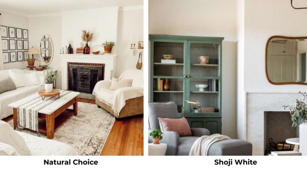 Natural Choice Vs Shoji White